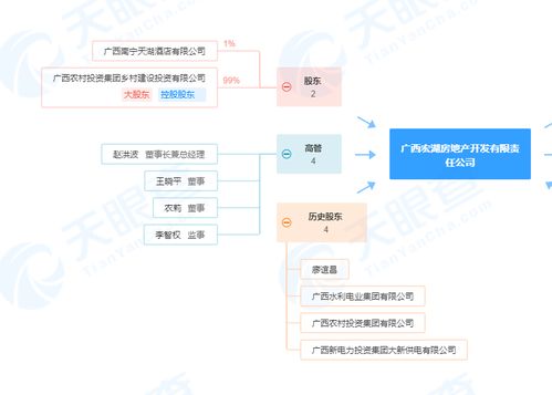 使用检验不合格的电梯 广西宏湖房地产开发有限责任公司被罚